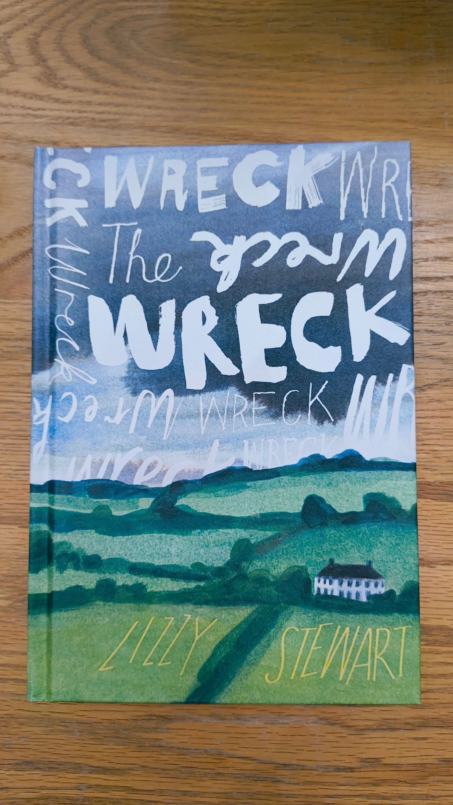 The Wreck by Lizzy Stewart